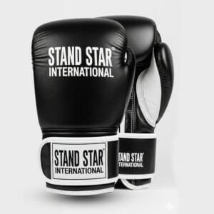 muay thai gloves manufacturer & supplier