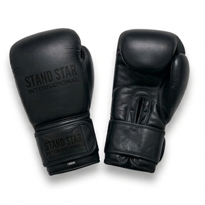 Training Boxing Gloves & Types of Boxing gloves